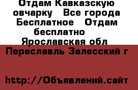 Отдам Кавказскую овчарку - Все города Бесплатное » Отдам бесплатно   . Ярославская обл.,Переславль-Залесский г.